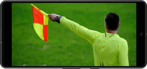 Линейные судьи